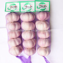 New Garlic Rate in Jinxiang, Red Garlic/Purple Garlic